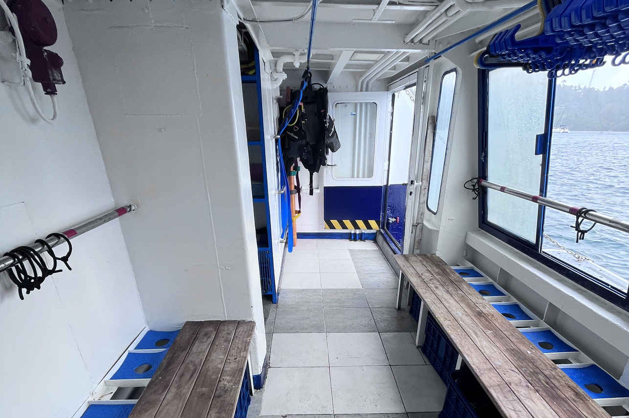 Dolphin Liveaboard