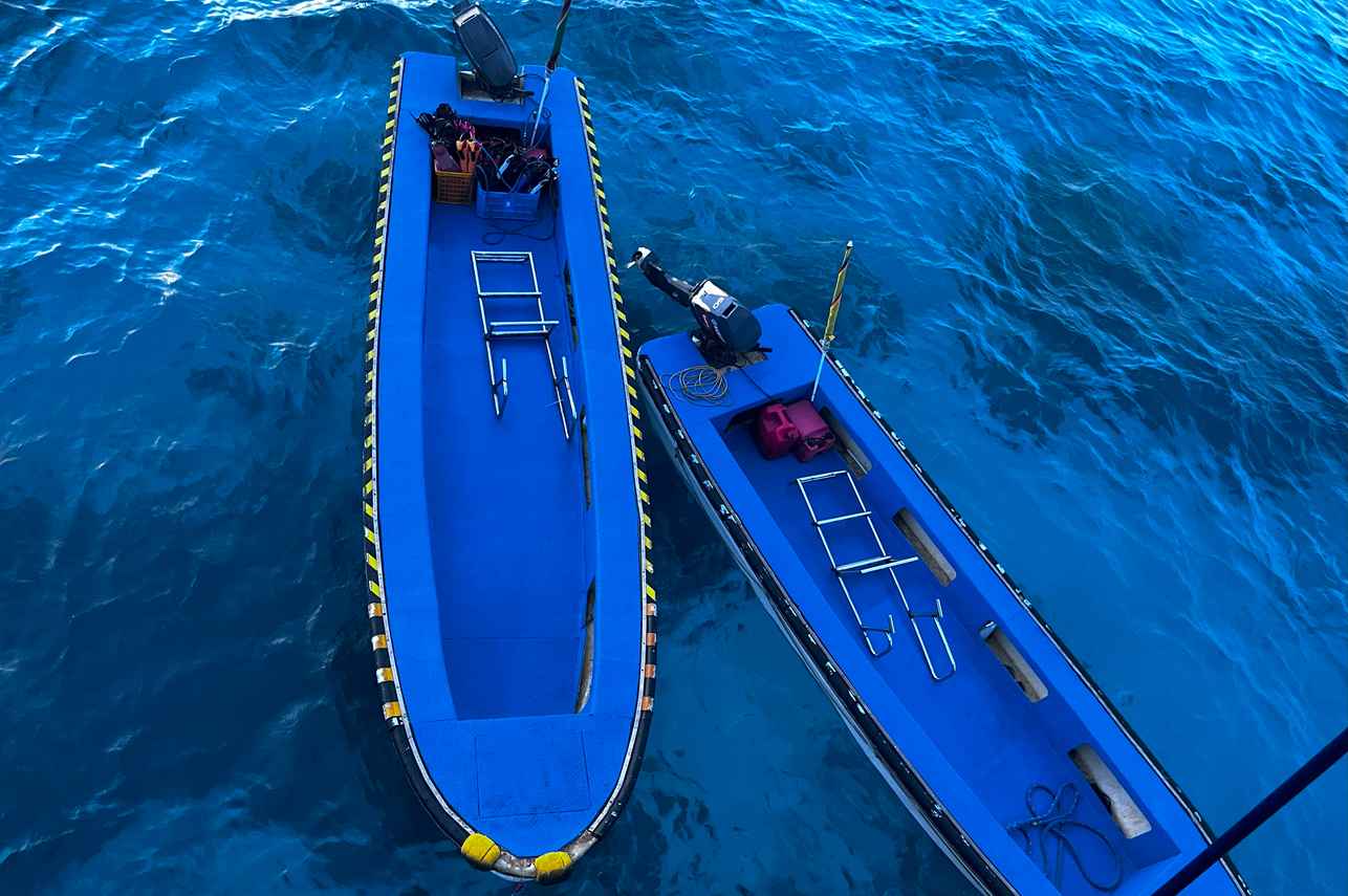 Dolphin Liveaboard