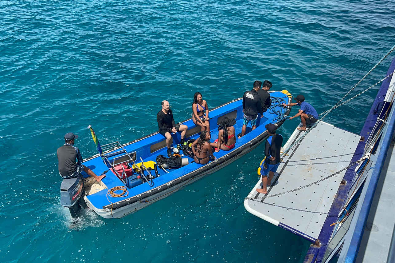 Dolphin Liveaboard