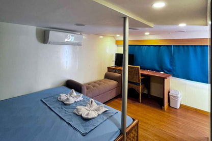 Dolphin Liveaboard