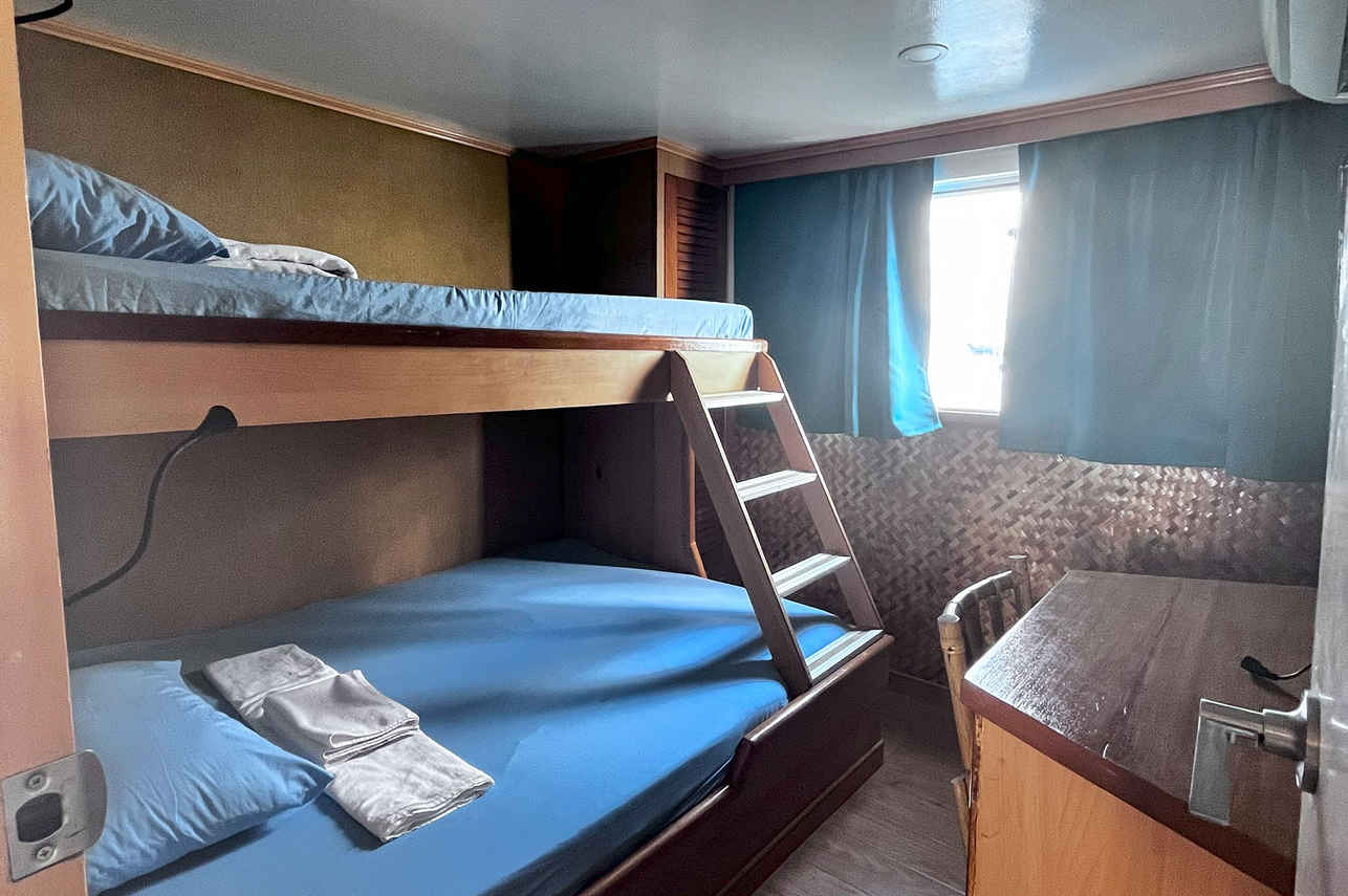Dolphin Liveaboard