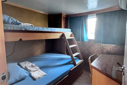 Dolphin Liveaboard