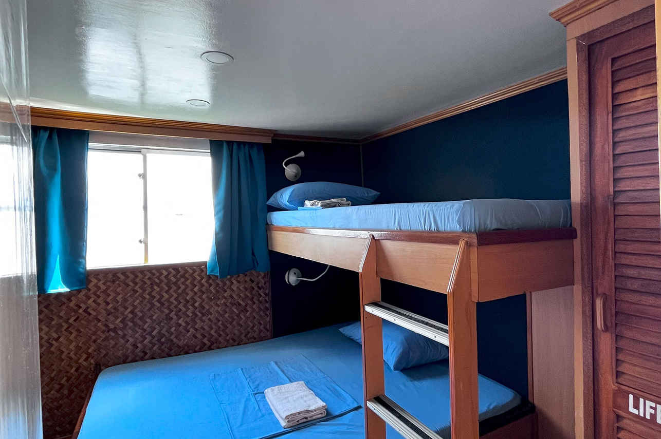 Dolphin Liveaboard