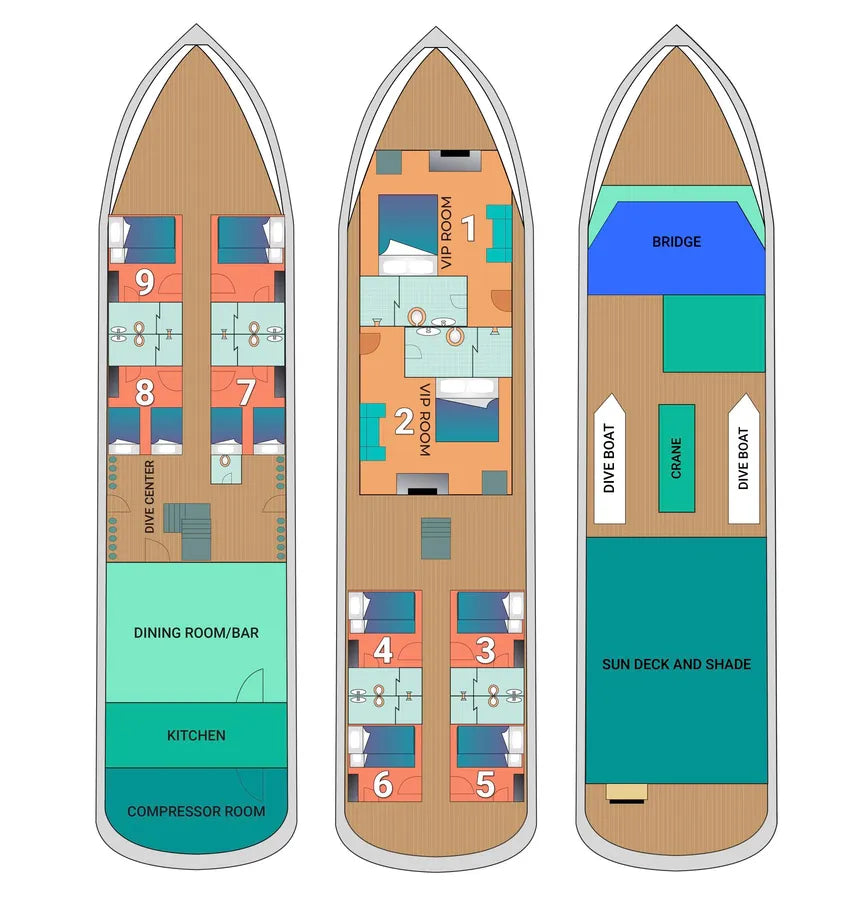 Dolphin Liveaboard Image
