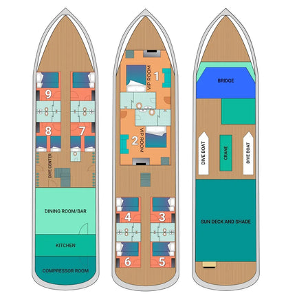 Dolphin Liveaboard