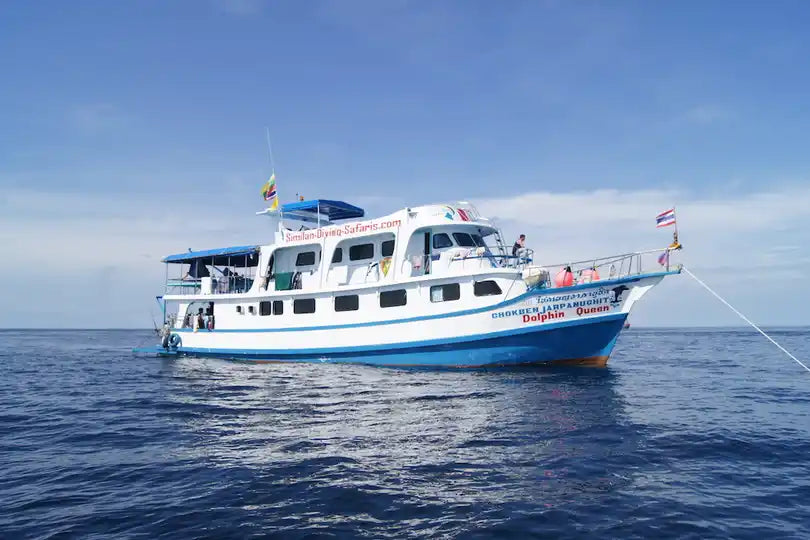 Dolphin Queen Image