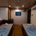 Cabin thumbnail 3