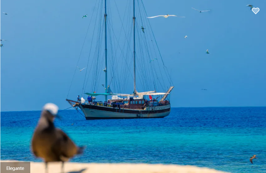Elegante Liveaboard