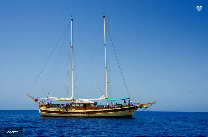 Elegante Liveaboard