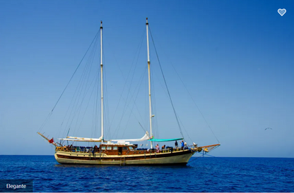 Elegante Liveaboard