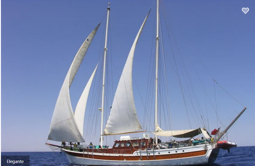 MSY Elegante Liveaboard Image