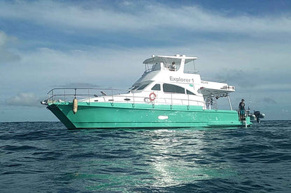 Explorer 1 Catamaran