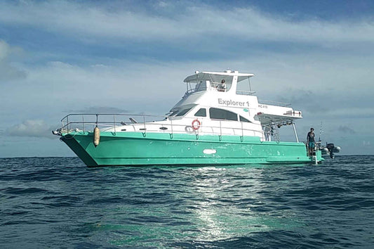 Explorer 1 Catamaran