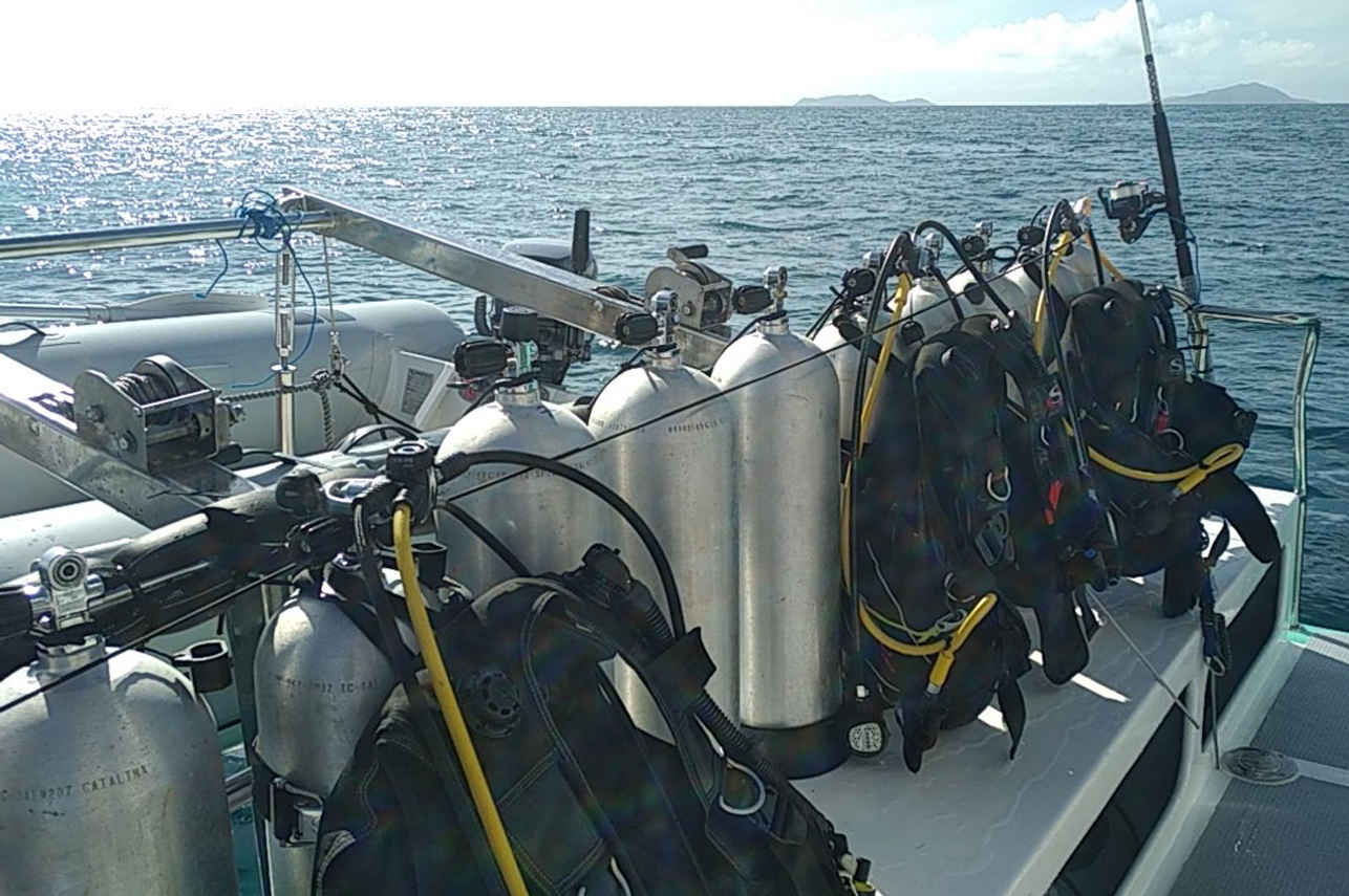 Explorer 1 Catamaran Image