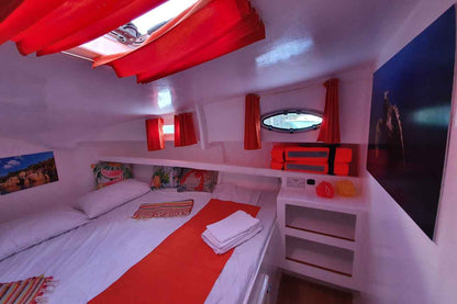 Explorer 1 Catamaran