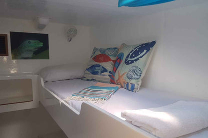 Explorer 1 Catamaran