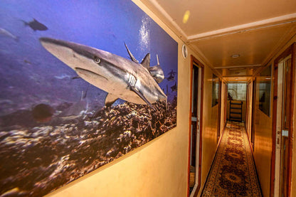 Felicidad II Liveaboard