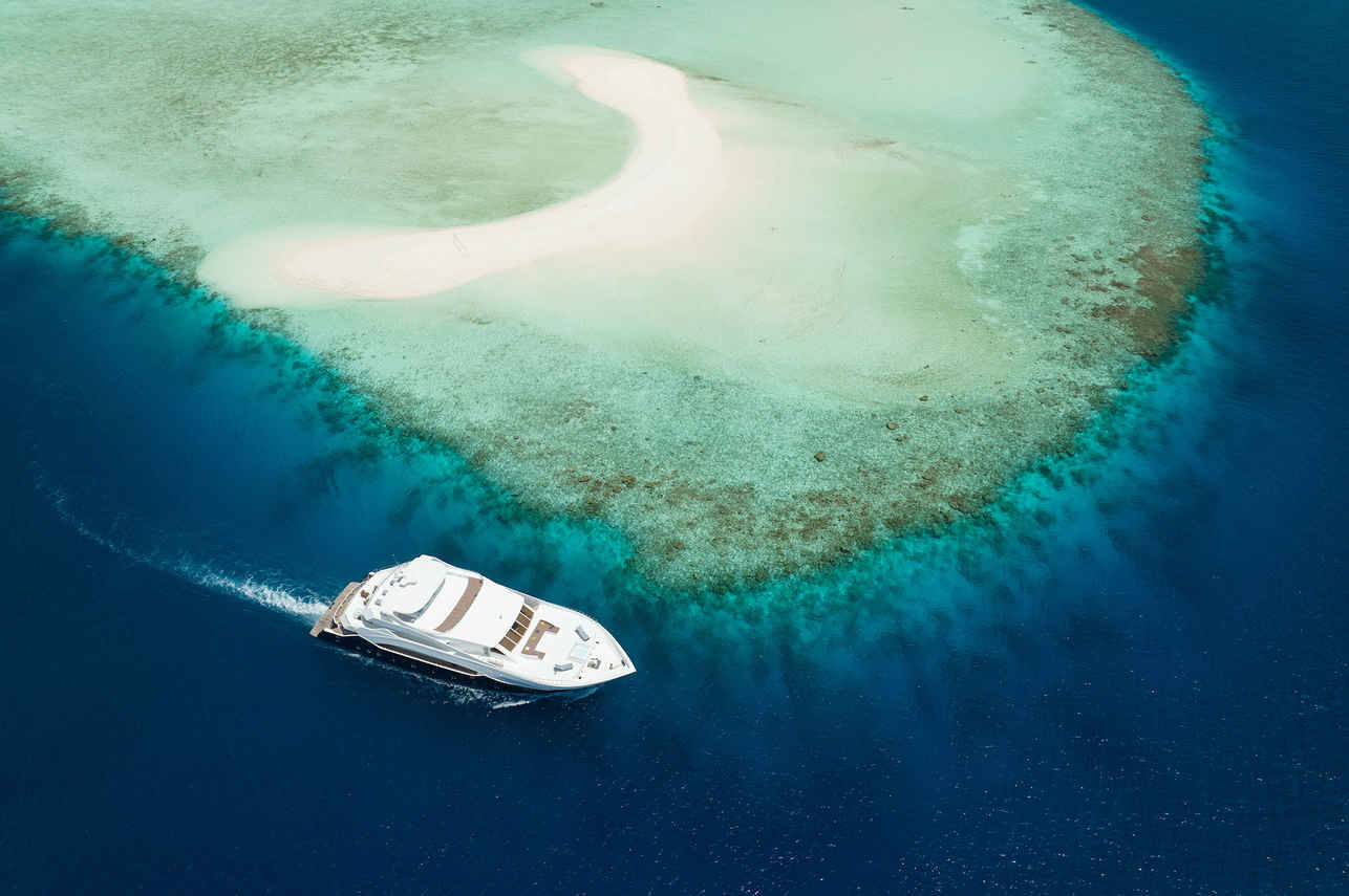 Felicity Liveaboard