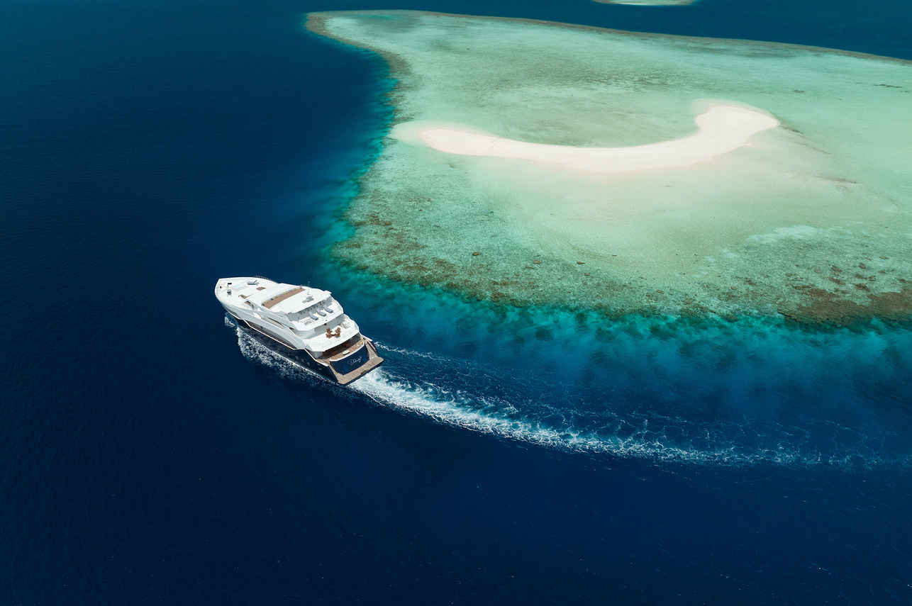 Felicity Liveaboard
