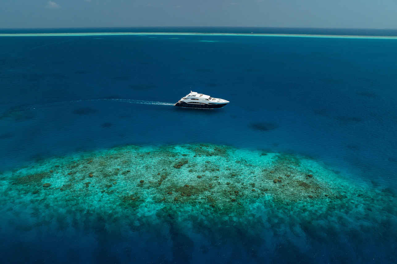 Felicity Liveaboard
