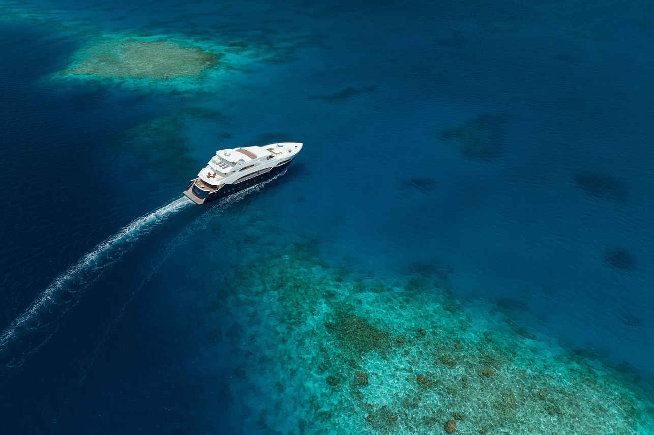 Felicity Liveaboard