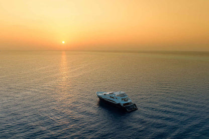 Felicity Liveaboard