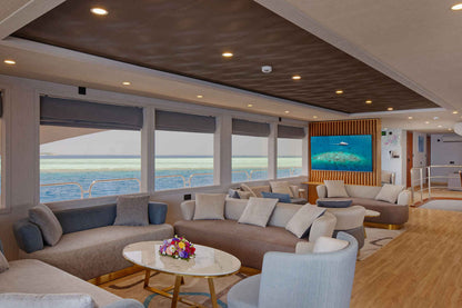 Felicity Liveaboard