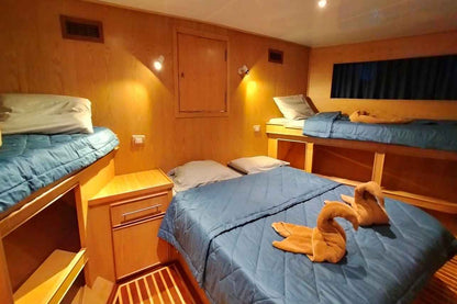 Freedom IV Liveaboard