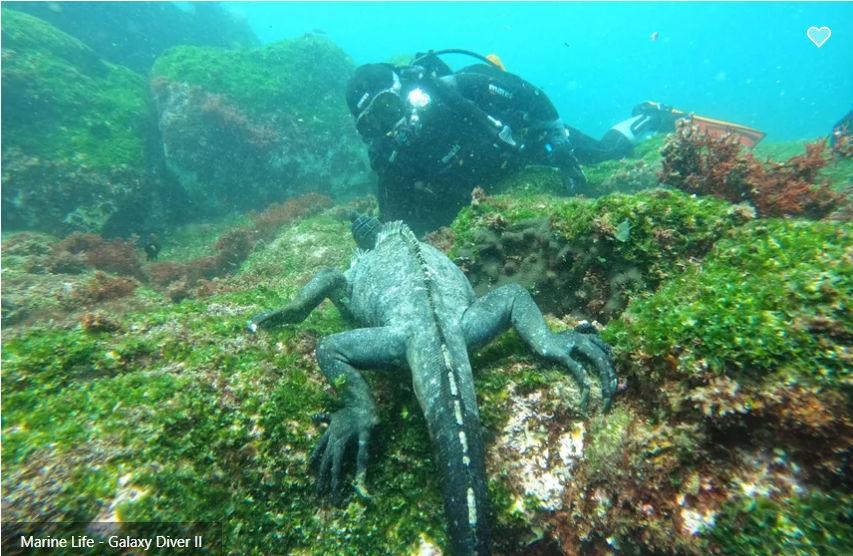 Galaxy Diver II