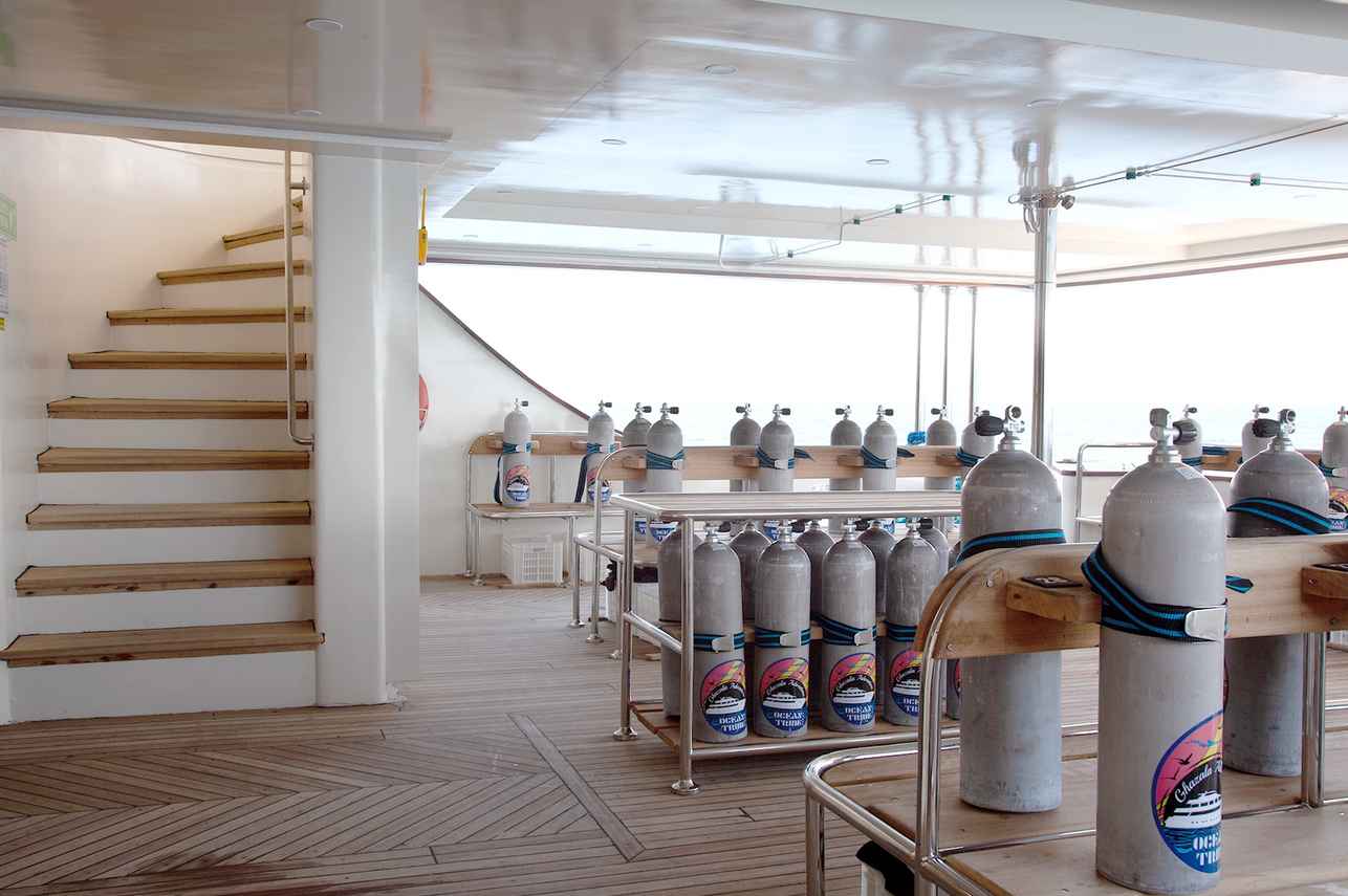Ghazala Adventure Liveaboard