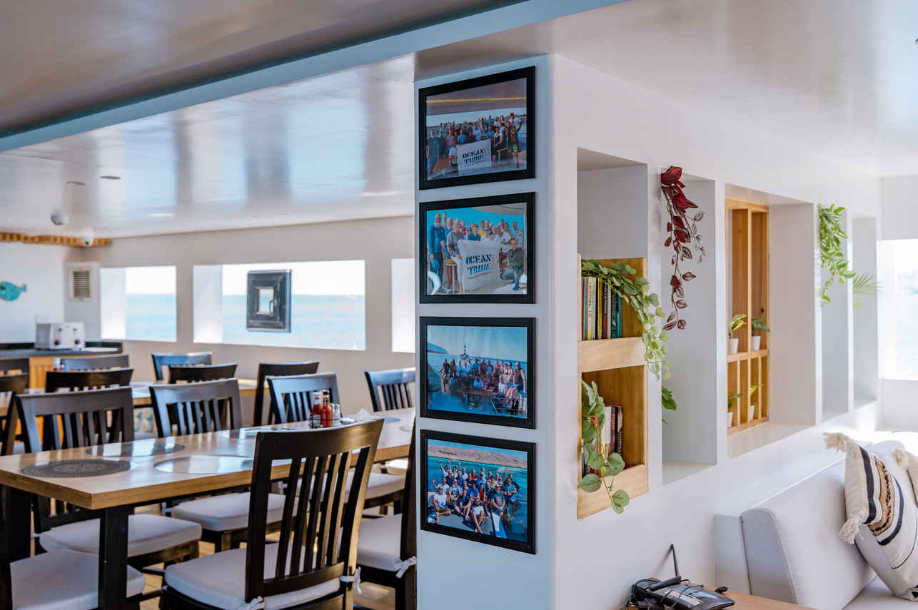 Ghazala Explorer Liveaboard