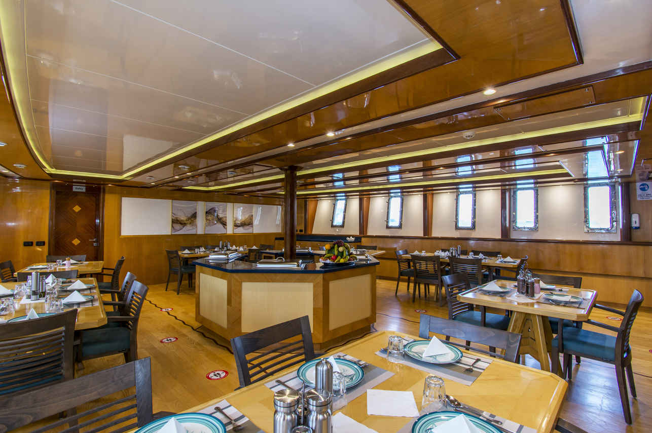 Golden Dolphin IV Liveaboard