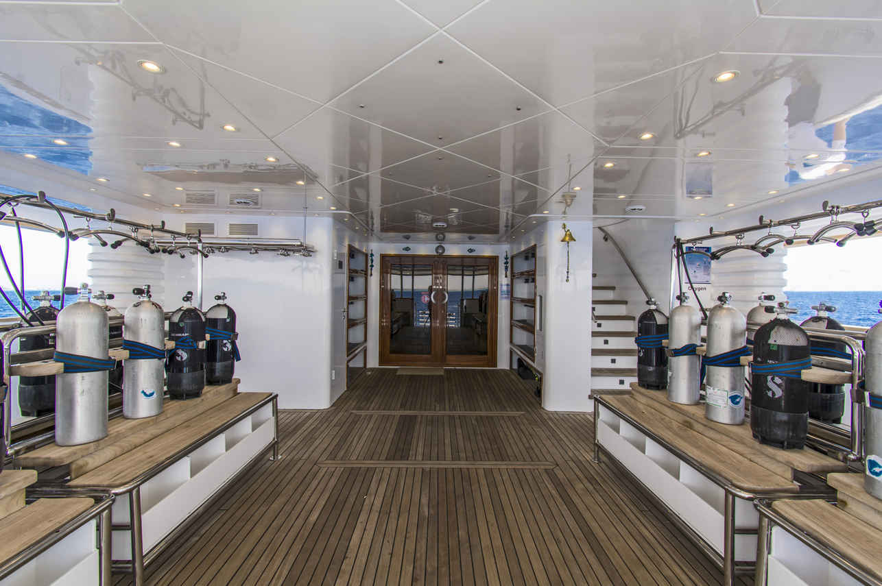 Golden Dolphin IV Liveaboard