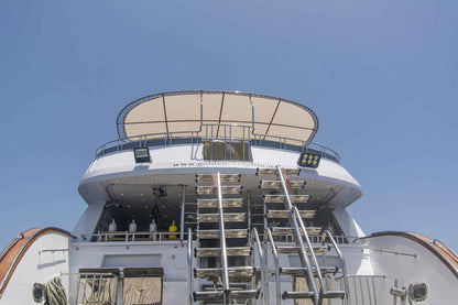 Golden Dolphin III