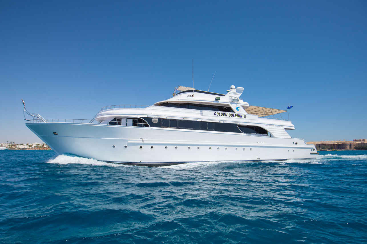 Golden Dolphin II Image