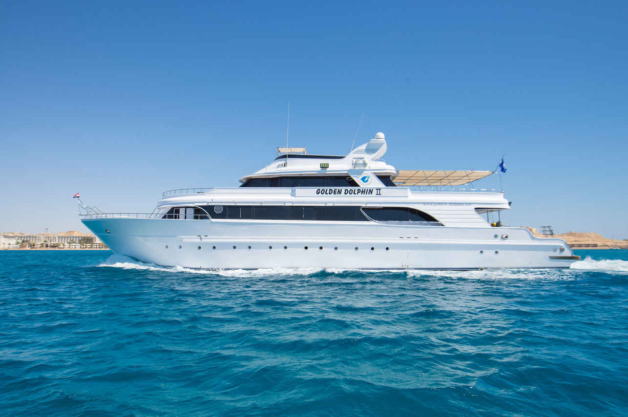 Golden Dolphin II Image