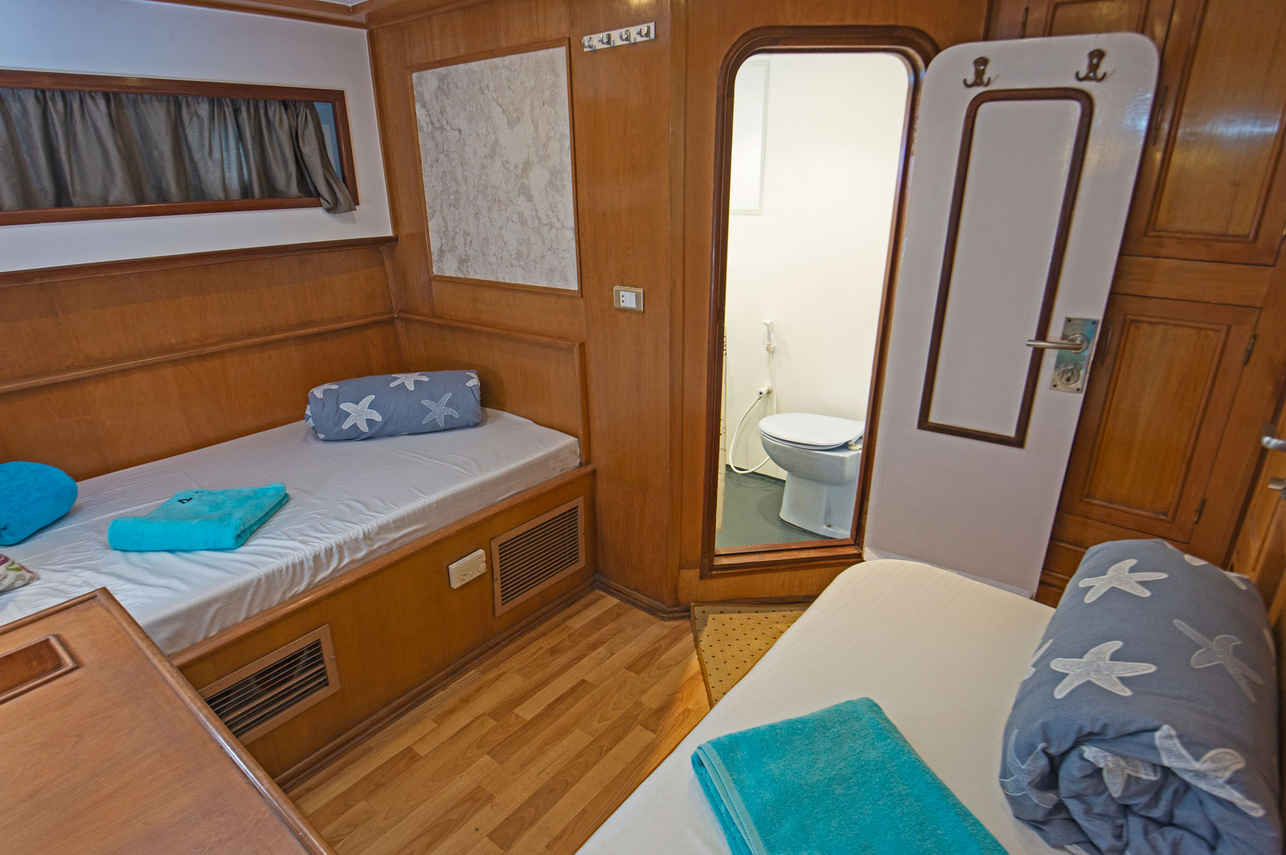 Golden Dolphin II