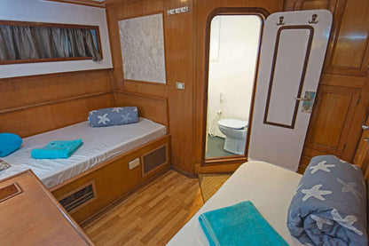 Golden Dolphin II