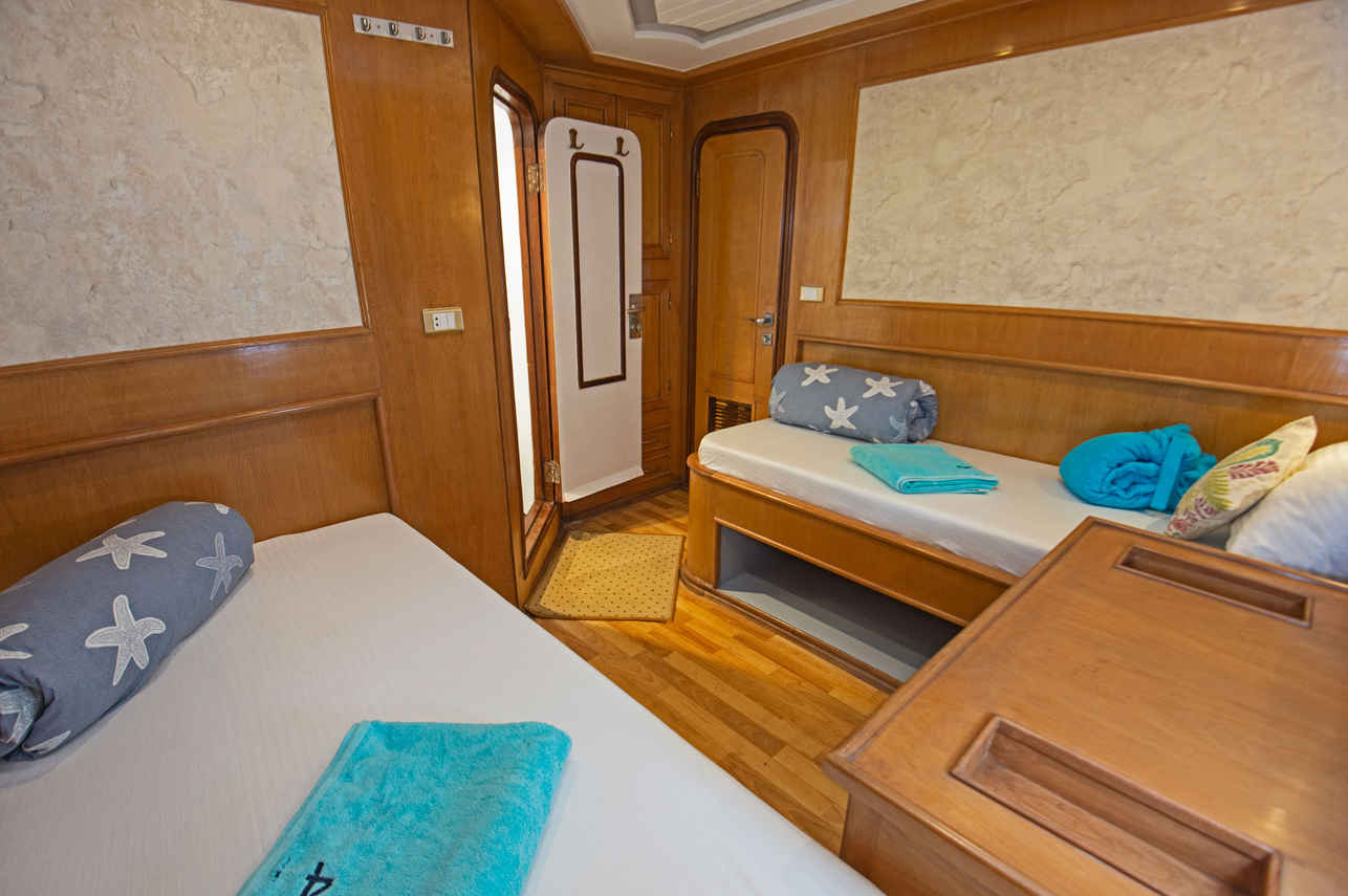Golden Dolphin II