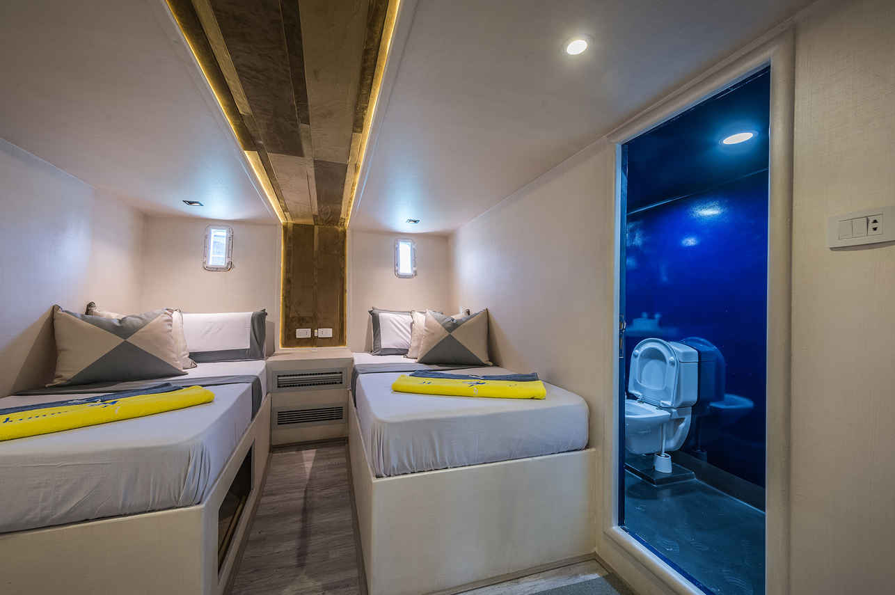 Hammerhead II Liveaboard