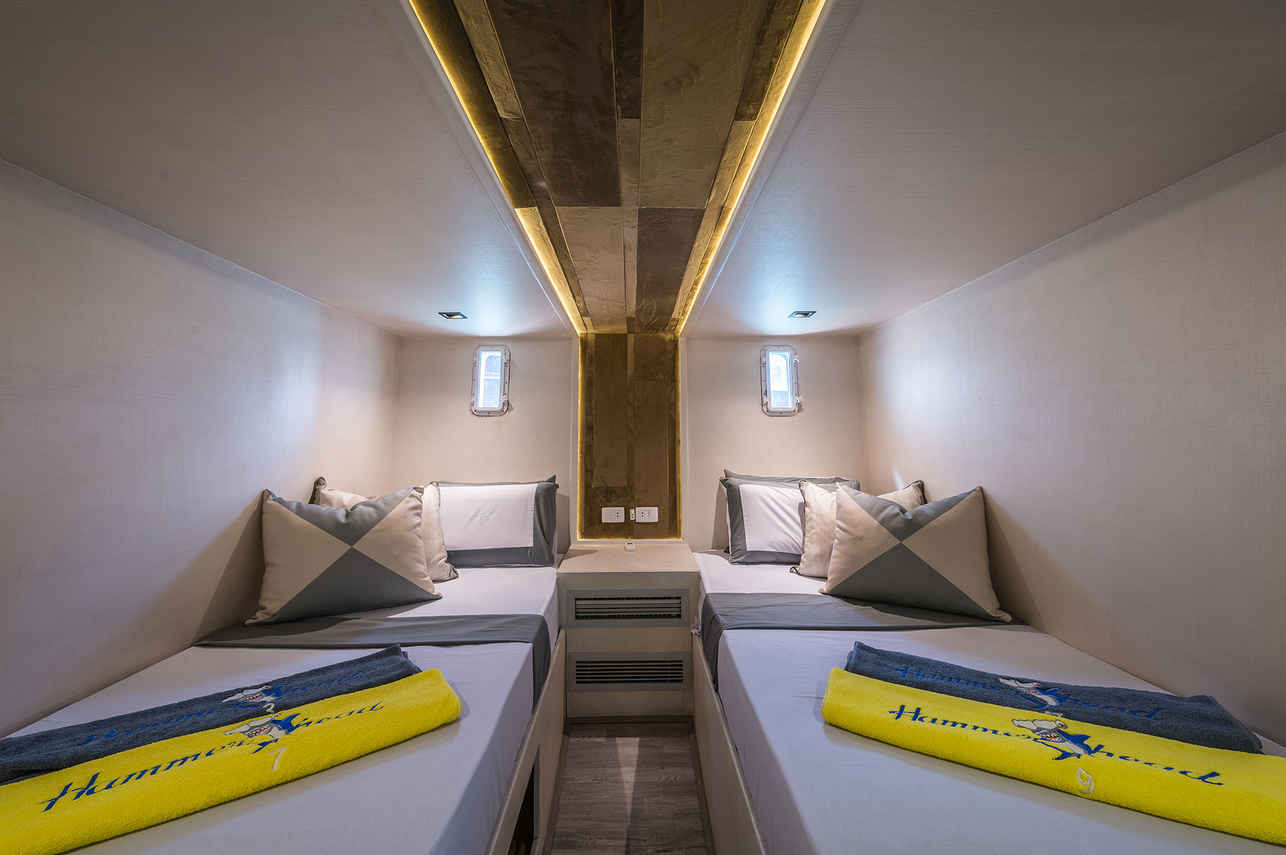 Hammerhead II Liveaboard