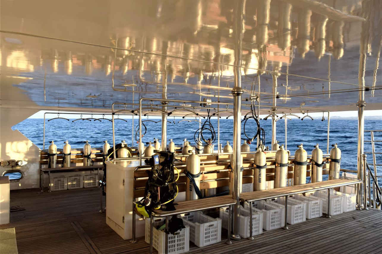 Hammerhead II Liveaboard Image