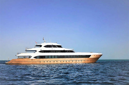 Hammerhead II Liveaboard