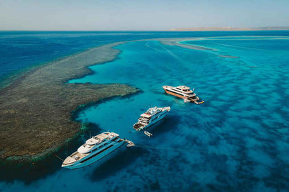 Hammerhead II Liveaboard