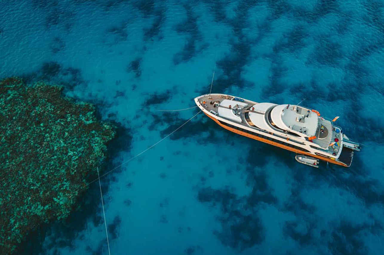 Hammerhead II Liveaboard