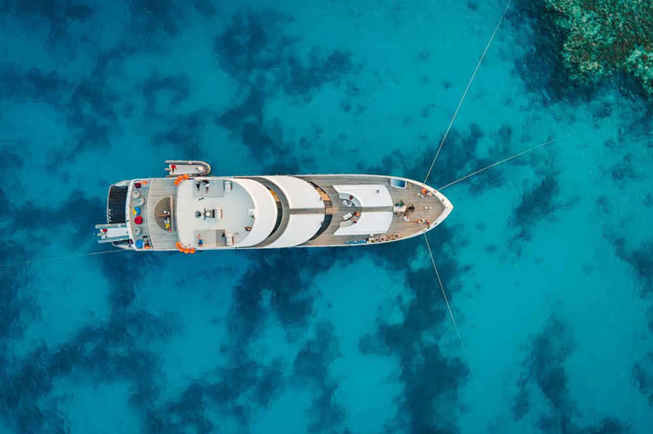 Hammerhead II Liveaboard