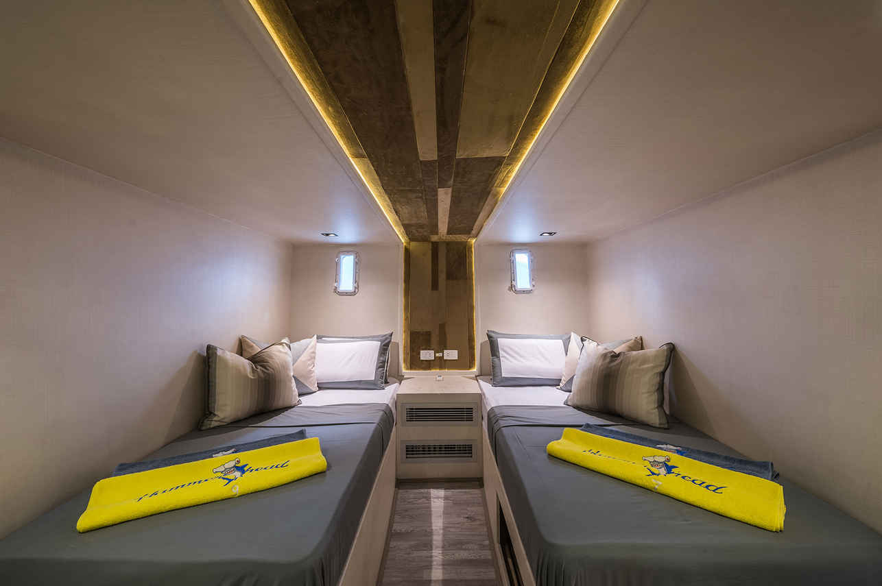 Hammerhead II Liveaboard
