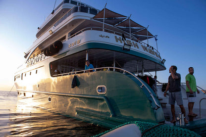 High Wave Liveaboard