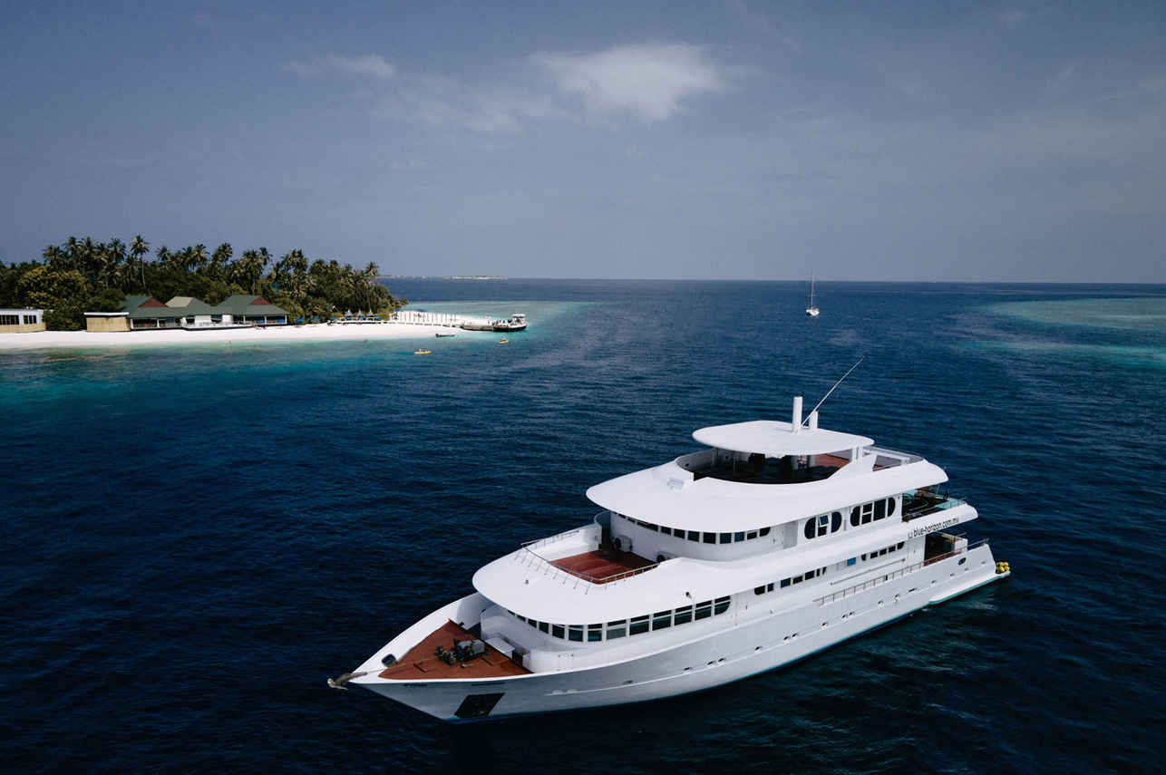 Horizon 3 Liveaboard