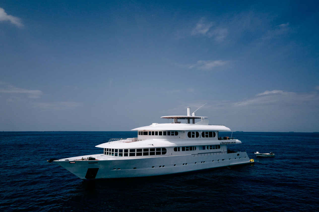 Horizon 3 Liveaboard